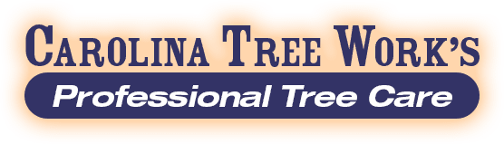 Carolina Tree Works Rock Hill SC