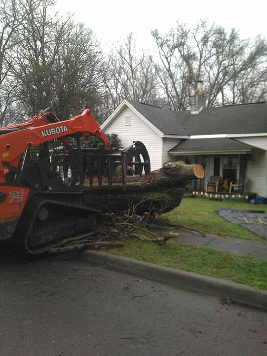 Carolina Tree Works Rock Hill SC Tree Removal