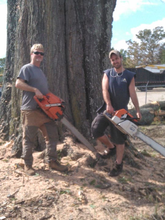 Carolina Tree Works Rock Hill SC Professional Tree Care