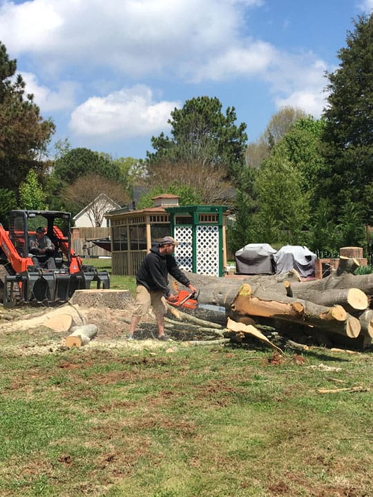 Carolina Tree Works Rock Hill SC Tree Removal